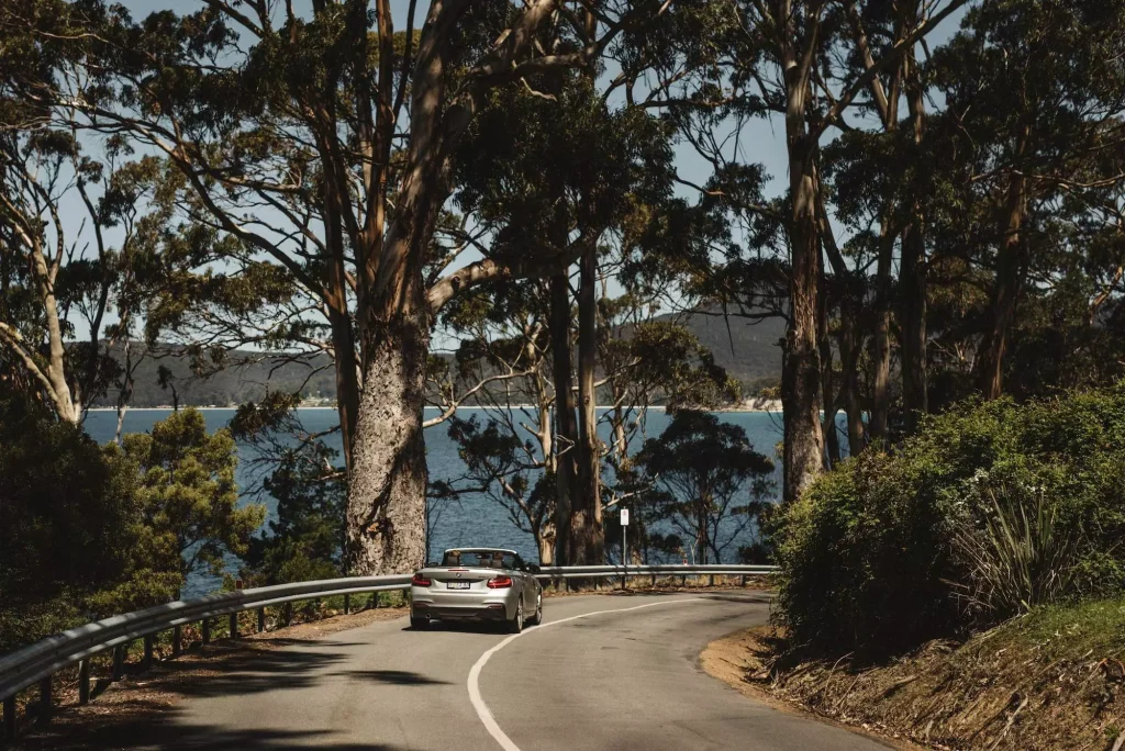 A grey convertible zips down a windy road on Bruny Island. It's a sunny day, and, behind the trees, we catch a glimpse of blue water.