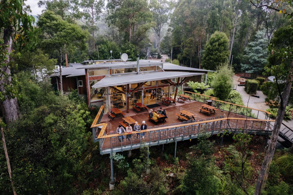 The photograph is a birds-eye view of the Tahune Airwalk Cafe, where a few people sit at a counter and picnic tables on a wooden, outdoor balcony in the middle of a lush forest.

Photo by Tourism Australia.