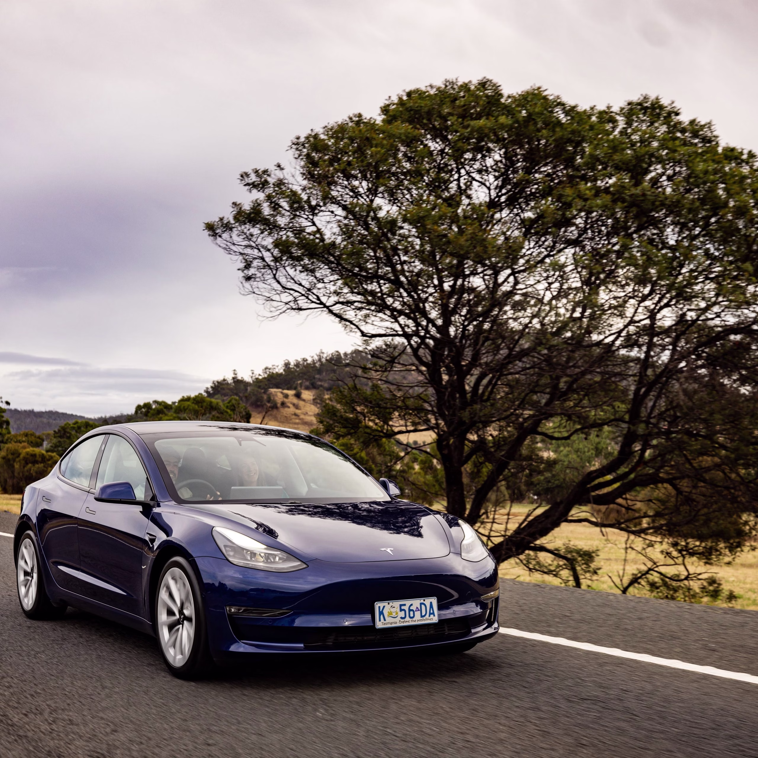 A blue Tesla drives down a Tasmanian road, passing a tree on a cloudy day.
Credit Tourism Australia